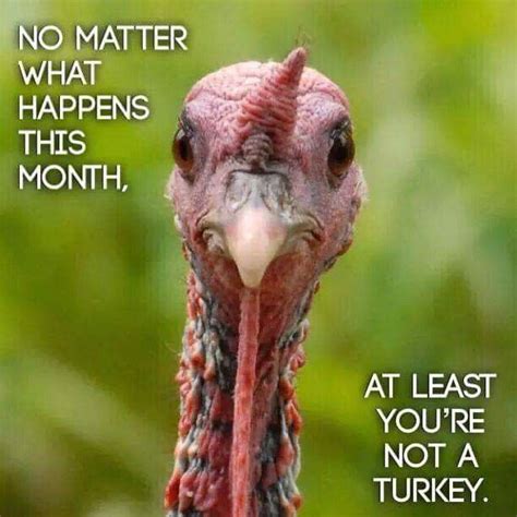 Whatever Happens This Month Not A Halloween Turkey pjfl: Go Cold Turkey Week & Halloween Pictures